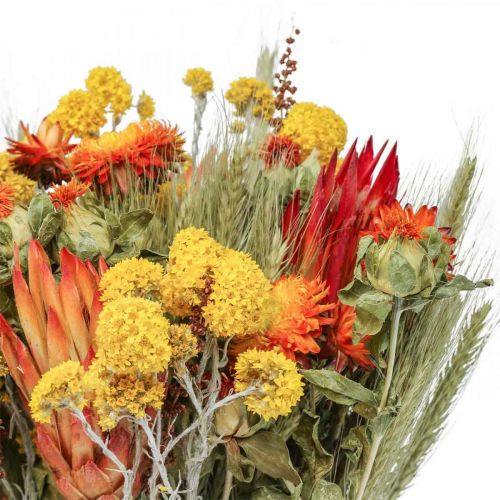 Floristik24 Džiovintų gėlių puokštė pievų gėlių puokštė oranžinė H50cm 300g
