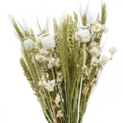 Floristik24 Džiovintų gėlių puokštė šiaudinių gėlių grūdų aguonų kapsulė sausa žolė 50cm