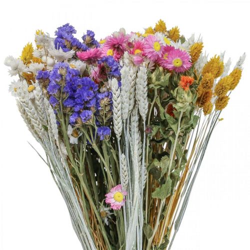 Floristik24 Džiovintų gėlių puokštė šiaudų gėlių paplūdimio levandos Phalaris grūdeliai 55cm