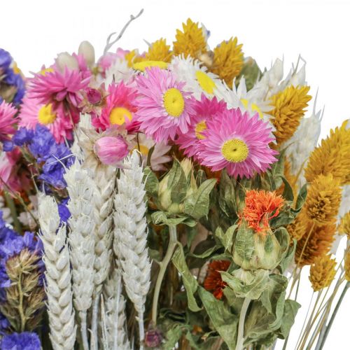 Floristik24 Džiovintų gėlių puokštė šiaudų gėlių paplūdimio levandos Phalaris grūdeliai 55cm