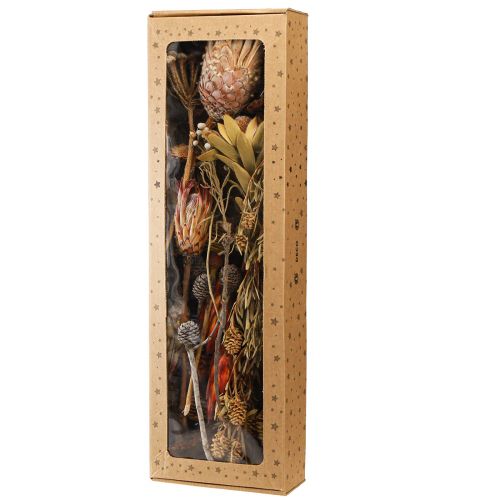 daiktų Sausos dekoracijos egzotiniai protea kūgiai Bellgum L24–48cm 580g