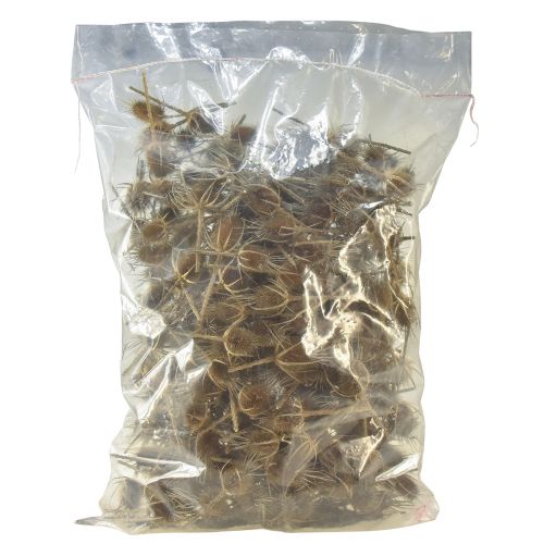 daiktų Sausos dekoravimo atvirutės laukinių kardūnų gamtos 1kg
