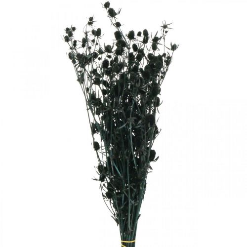 Floristik24 Džiovinti erškėčiai juodieji braškiniai erškėčiai džiovintos gėlės 100g