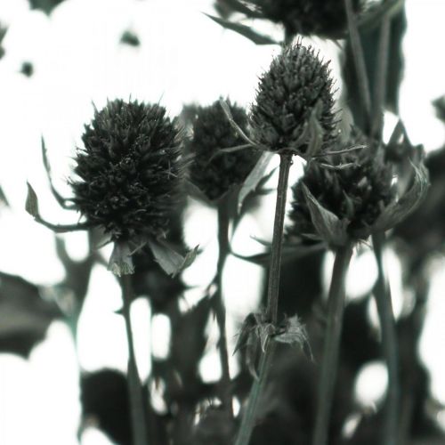 Floristik24 Dry Thistle Black Strawberry Thistle Džiovintos gėlės 100g