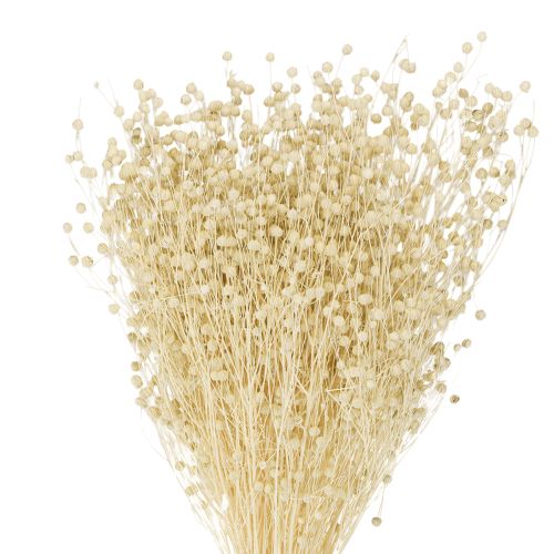Džiovintos natūralios balintos žolės linai 50-55 cm 180 g
