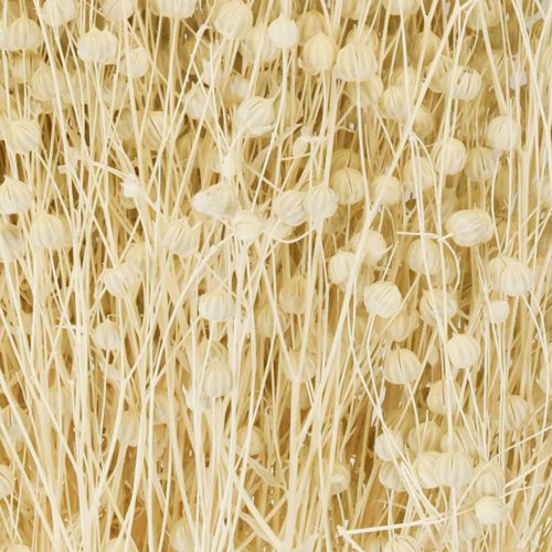 daiktų Džiovintos natūralios balintos žolės linai 50-55 cm 180 g