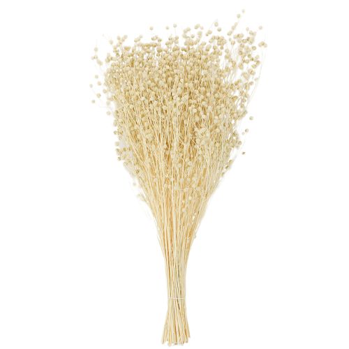 daiktų Džiovintos natūralios balintos žolės linai 50-55 cm 180 g