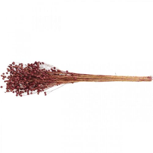 daiktų Sausa žolė Džiovinti Linai Old Pink H50–55cm 80g