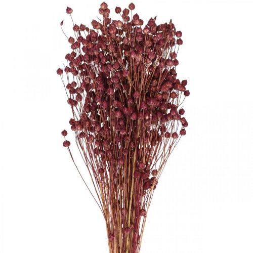 daiktų Sausa žolė Džiovinti Linai Old Pink H50–55cm 80g