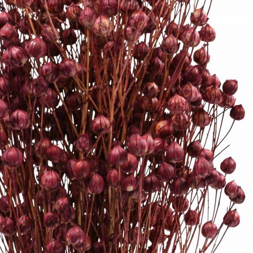 daiktų Sausa žolė Džiovinti Linai Old Pink H50–55cm 80g
