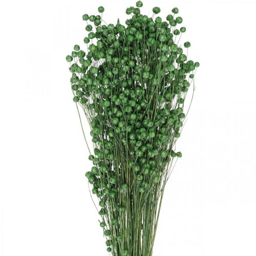 daiktų Džiovinta žolė Džiovinta Linų žaluma H50–55cm 80g
