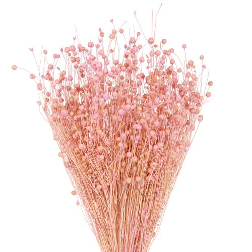 daiktų Sausa žolė Džiovinti linai Šviesiai rožinė H50–55cm 80g