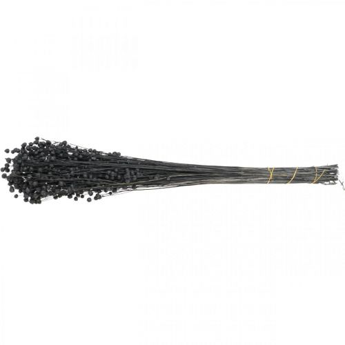 daiktų Džiovinta žolė Džiovinti Linai Juodi H50–55cm 80g