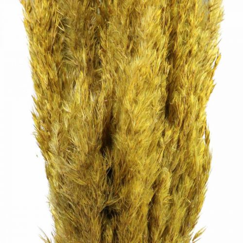 daiktų Džiovintos žolės viksvos deko džiovintos geltonos 70cm 10vnt