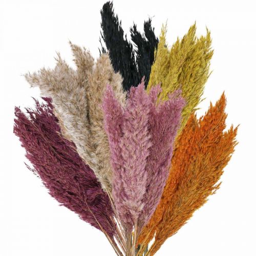 Džiovinta žolė Džiovinta viksva įvairių spalvų 70cm 10vnt