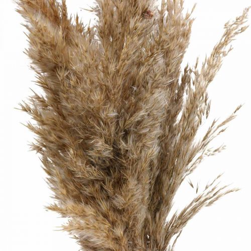Floristik24 Sausos žolės viksvos džiovintos dekoratyvinės žolės natūralios 70cm 10 vnt