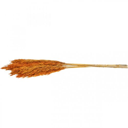 daiktų Sausos žolės viksvos džiovintos dekoratyvinės žolės oranžinės 70cm 10 vnt