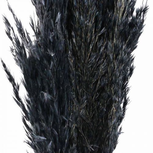 daiktų Sausos žolės viksvos džiovintos juodos dekoratyvinės žolės 70cm 10 vnt