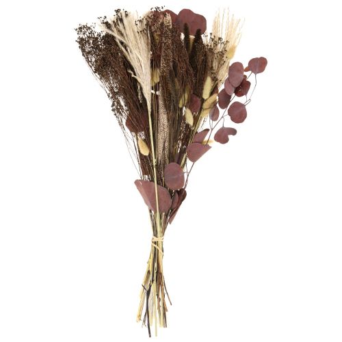 Floristik24 Sausos žolės eukalipto puokštė 60cm 120g