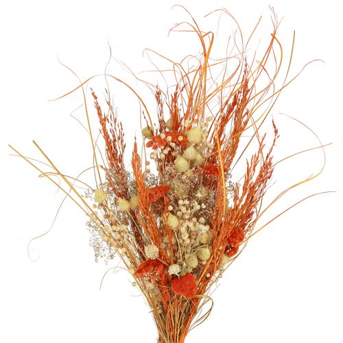 Floristik24 Sausa puokštė erškėtis kraujažolė oranžinė balinta 55cm 150g