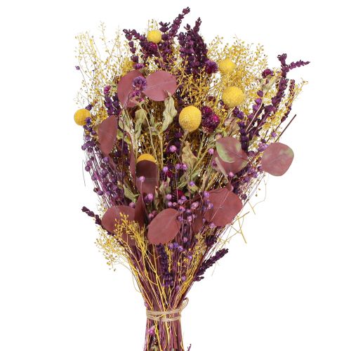 daiktų Sausa puokštė geltona violetinė žalia Craspedia eucalyptus 53cm 150g