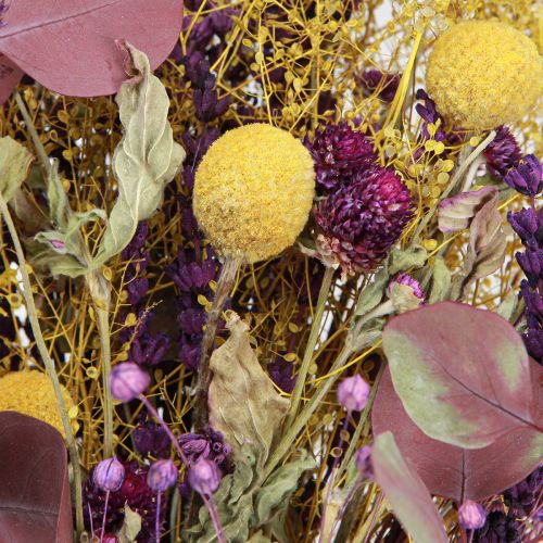 daiktų Sausa puokštė geltona violetinė žalia Craspedia eucalyptus 53cm 150g