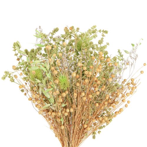 Floristik24 Sausa puokštė avižų linų mėtų natūrali balta 40cm 80g