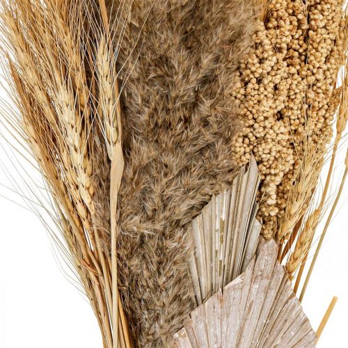 Floristik24 Sausos žolės puokštė iš grūdų natūralaus, balta 74cm