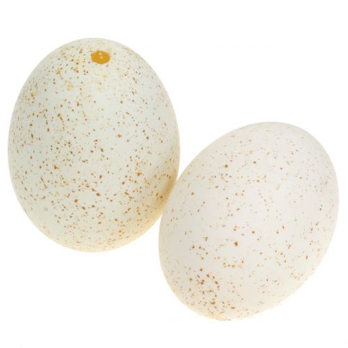 Floristik24 Kalakutienos kiaušiniai natūralūs 6,5cm 10vnt