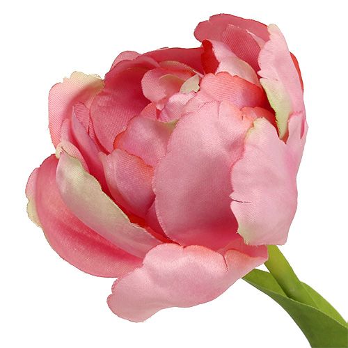 Floristik24 Tulpė rožinė 37cm 6vnt
