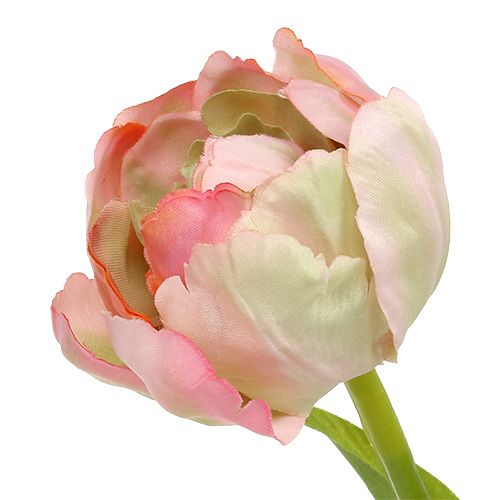 Floristik24 Tulpė rožinė, žalia 37cm 6vnt