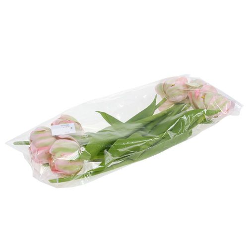 Floristik24 Tulpė rožinė, žalia 37cm 6vnt