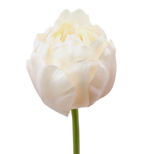 Floristik24 Tulpė balta-rožinė 86cm 3vnt