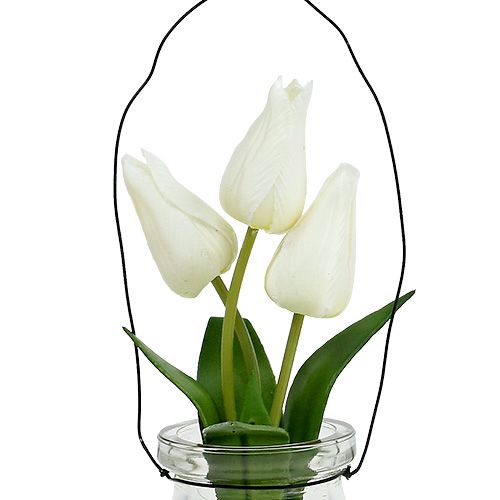 daiktų Tulpė balta stiklinėje H21cm 1vnt