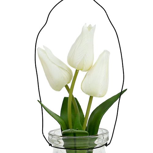 Floristik24 Tulpė balta stiklinėje H21cm 1vnt