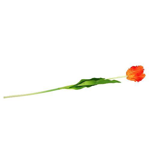 Floristik24 Oranžinė tulpė 70cm