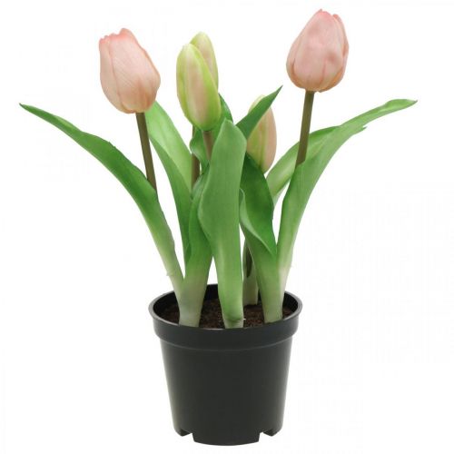 Tulpė rožinė, žalia vazonėlyje Dirbtinis vazoninis augalas dekoratyvinė tulpė H23cm
