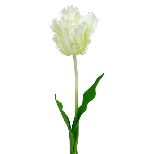 Floristik24 Dirbtinė balta tulpė 70cm