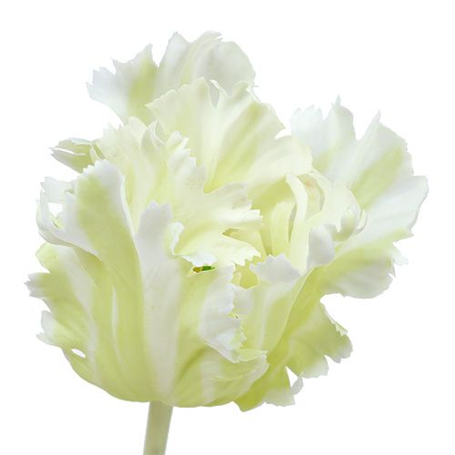 Floristik24 Dirbtinė balta tulpė 70cm