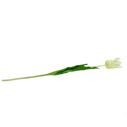Floristik24 Dirbtinė balta tulpė 70cm