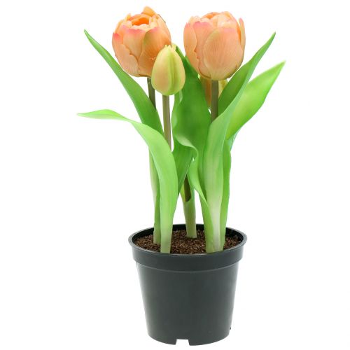 Floristik24 Tulpė Real-Touch persikas 23cm