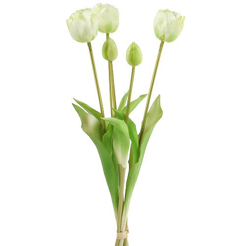 Floristik24 Tulpių kremas Real-Touch gėlių dekoravimas L43,5cm 5vnt