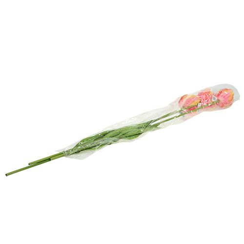 Floristik24 Tulpės rožinė-geltona 86cm 3vnt