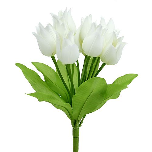Floristik24 Tulpių krūmas baltas 30cm