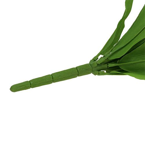 Floristik24 Tulpių krūmas baltas 30cm