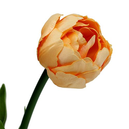 Floristik24 Tulpių puokštė abrikosas 43cm