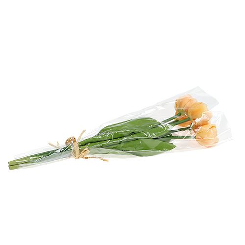 Floristik24 Tulpių puokštė abrikosas 43cm