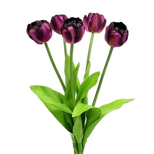 Floristik24 Tulpių puokštė 43cm violetinė