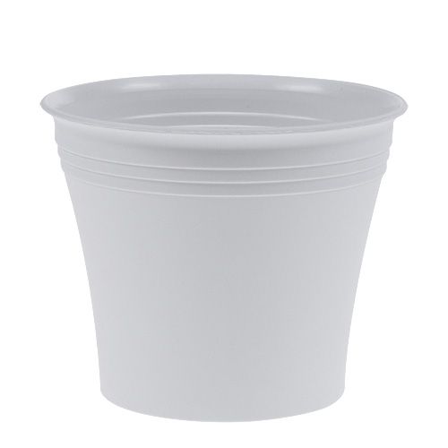 Floristik24 Michele sodinukas baltas 18cm