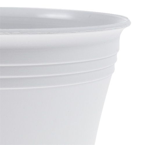 Michele sodinukas baltas Ø22cm | Floristik24.lt